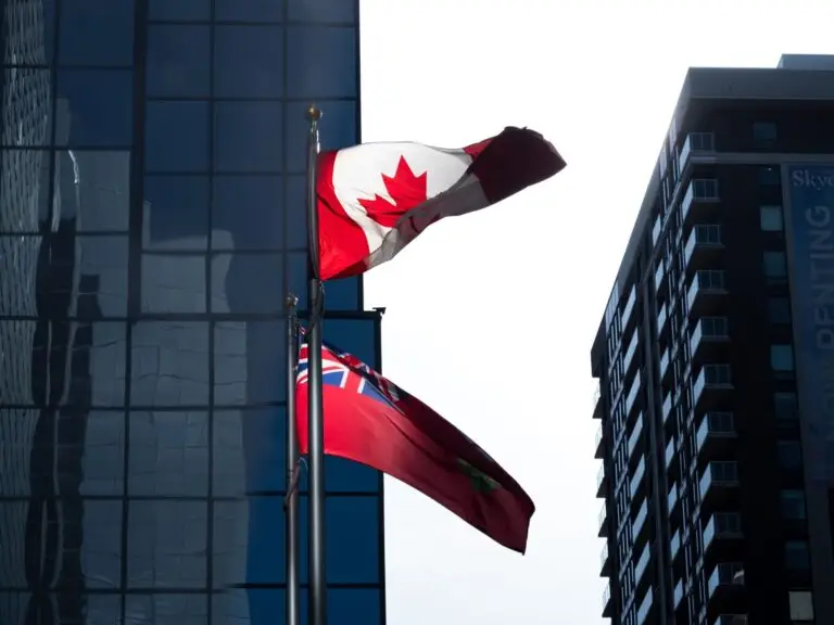 Benefits of Commercial Window Tinting for Ottawa Businesses